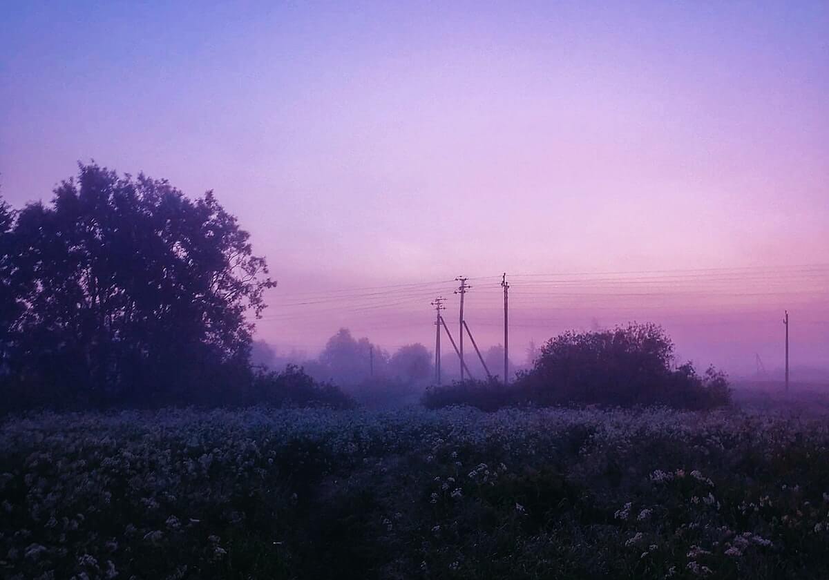 乐鱼中国-樊振东将加盟德国杜塞尔多夫乒乓球俱乐部